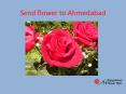 Gifts and Flowers Delivery in Ahmedabad PowerPoint PPT Presentation