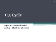 C3 Cycle