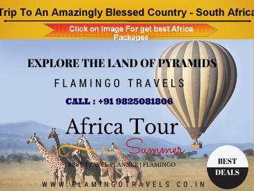 Enjoy A good Trip with South Africa Tour Packages