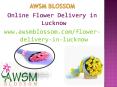 Online Flower Delivery in Lucknow PowerPoint PPT Presentation