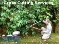 landscape property maintenance professional contractor PowerPoint PPT Presentation
