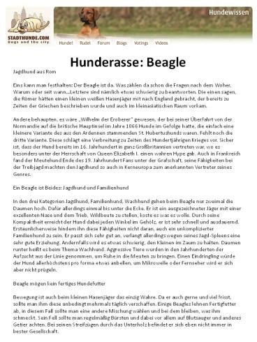 Hunderasse Beagle