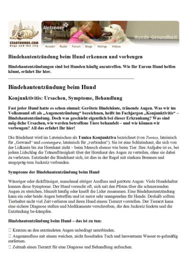 Hundekrankheiten: Bindehautentzündung beim Hund