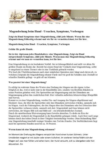 Hundekrankheit: Magendrehung beim Hund