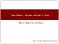 Mass Affluents - Attitudes and Needs in China PowerPoint PPT Presentation