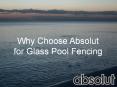 Why Choose Absolut for Glass Pool Fencing PowerPoint PPT Presentation