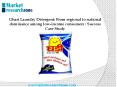 Ghari Laundry Detergent; From regional to national dominance among low-income consumers : Success Case Study PowerPoint PPT Presentation