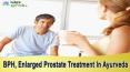 BPH, Enlarged Prostate Treatment In Ayurveda PowerPoint PPT Presentation
