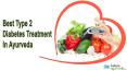 Best Type 2 Diabetes Treatment In Ayurveda PowerPoint PPT Presentation