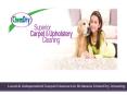 Local & Independent Carpet Cleaners in Brisbane ChemDry Amazing PowerPoint PPT Presentation