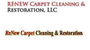 What to Expect From a Professional Carpet Cleane