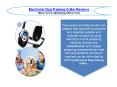 Electronic Dog Training Collar Reviews PowerPoint PPT Presentation