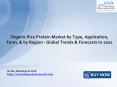Organic Rice Protein Market: JSBMarketResearch PowerPoint PPT Presentation