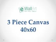 3 Piece Canvas