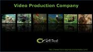 Video productions  services company