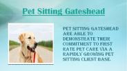 Pet Sitting South Tyneside