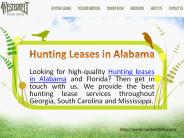 Hunting Leases in Alabama