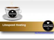 Litespeed Hosting (4)