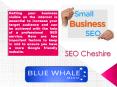 Everything You Need To Know About Seo Cheshire PowerPoint PPT Presentation