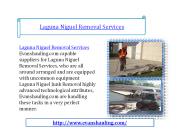 Laguna Niguel Removal Services