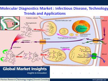 Molecular Diagnostics Market size to exceed $10 billion by 2023.