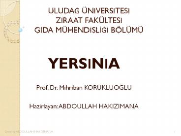 Yersinia