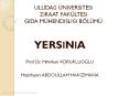 Yersinia PowerPoint PPT Presentation