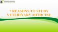 7 Reasons to Study Veterinary Medicine PowerPoint PPT Presentation