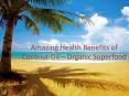Amazing Health Benefits of Coconut Oil – Organic Superfood
