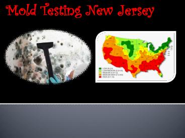 Mold Testing New Jersey