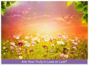Are Your Truly in Love or Lust?