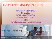 Sap Testing Online Training In UK| USA