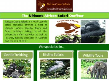 African Crane Safari