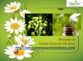 Natural Flower Oils at Aroma Essential Oil Store PowerPoint PPT Presentation