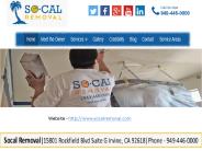 Home Mold Remediation