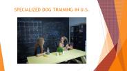 Specialized Dog Training In U.S.