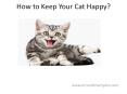 How to keep your cat happy PowerPoint PPT Presentation