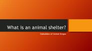 What is an animal shelter?