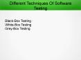 Software Testing Techniques PowerPoint PPT Presentation