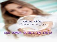 Egg donor clinic in India