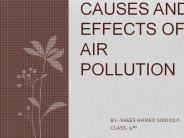 Causes And Effects Of Air Pollution