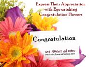 Send Congratulation Flowers to Appreciate Someone's Achievement