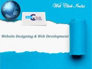 Website Designing Company in Delhi (1)