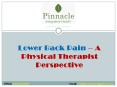 Lower Back Pain – A Physical Therapist Perspective PowerPoint PPT Presentation