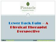 Lower Back Pain – A Physical Therapist Perspective