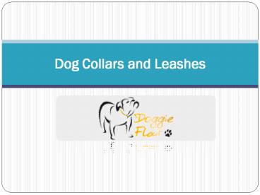 Dog Collars and Leashes