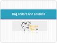 Dog Collars and Leashes PowerPoint PPT Presentation
