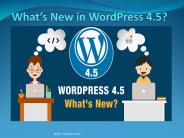 Find Out Here What’s New In WordPress 4.5?