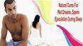 Natural Cures For Wet Dreams, Sperm Ejaculation During Sleep PowerPoint PPT Presentation