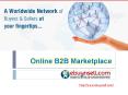Online B2B Marketplace PowerPoint PPT Presentation